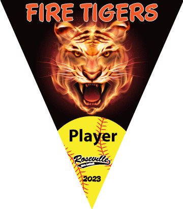 Triangle Sports Pennant 14" x 17"