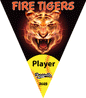 Triangle Sports Pennant 14" x 17"